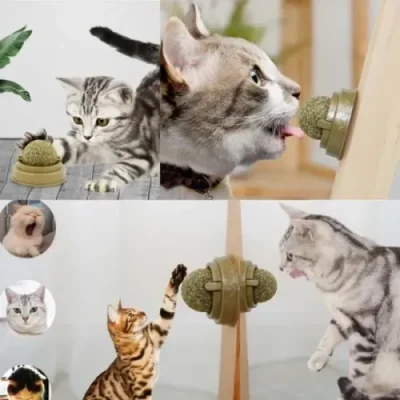 BUĞZ Kedi Nanesi Oyun Topu