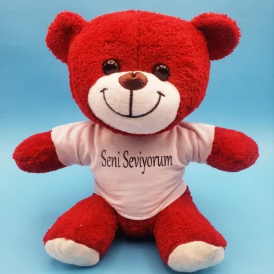 BUĞZ Kırmızı Ayıcık Seni Seviyorum Tişörtlü