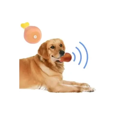 BUĞZ Köpekler İçin Sesli Oyuncak Tavuk Butu