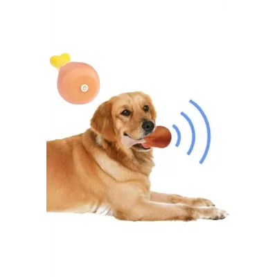BUĞZ Köpekler İçin Sesli Oyuncak Tavuk Butu