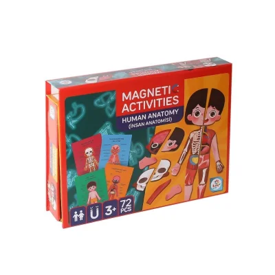  LC986 Manyetik Aktivite İnsan Anatomisi -Laço