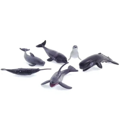  Model Memeli Deniz Hayvanları