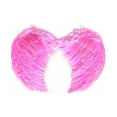 BUĞZ Pembe Melek Kanadı Kostümü Küçük