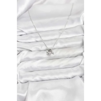 BUĞZ Pirinç Gümüş Renk Minimal Charmlı Kadın Kolye - Lisinya