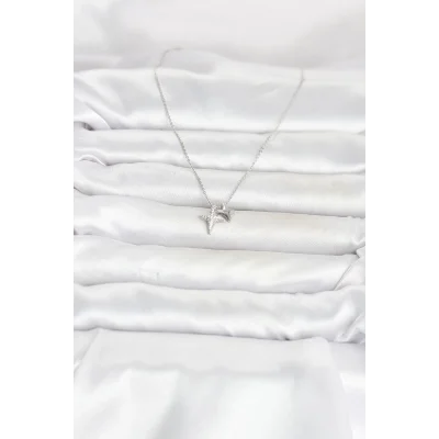 BUĞZ Pirinç Gümüş Renk Minimal Kutup Yıldızı Model Kadın Kolye - BUĞZ