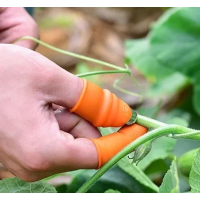 BUĞZ Pratik Baş Parmak Sebze Kesme Ayıklayıcı Erkek L Set