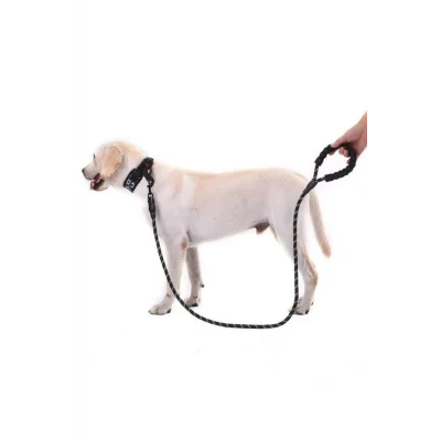 BUĞZ Reflektörlü Köpek Tasması 130 Cm.