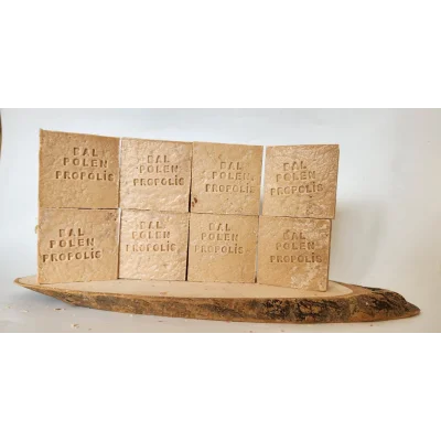 BUĞZ SAGLIK GRUBU BAL 8 Lİ