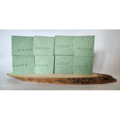 BUĞZ SAGLIK GRUBU ISRGAN 8 Lİ