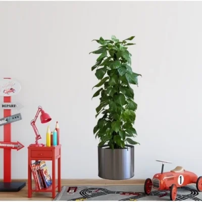  Saksılı Bitki Tasarımlı Yapışkanlı Sticker Resim