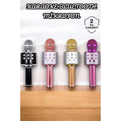 BUĞZ Şarjlı ve Uzun Pil Ömürlü Karaoke Mikrofon USB Bellek Destekli, Profesyonel Ses - Lisinya