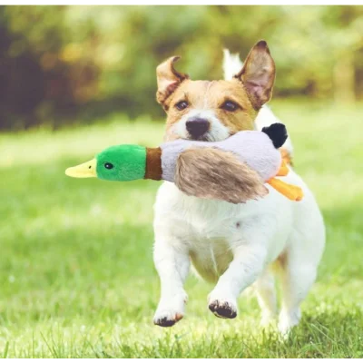 BUĞZ Sesli Ördek Şekilli Peluş Köpek Oyuncağı