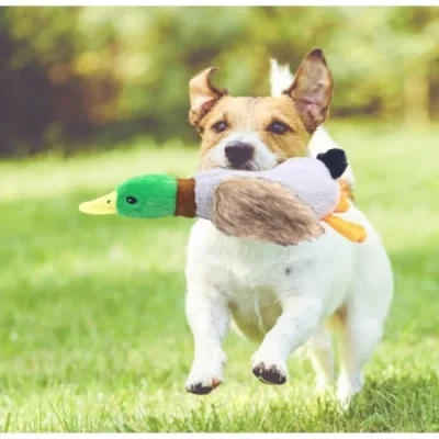  Sesli Ördek Şekilli Peluş Köpek Oyuncağı