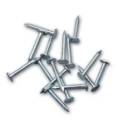 BUĞZ Şıngıl Çivisi 2,5 Kg