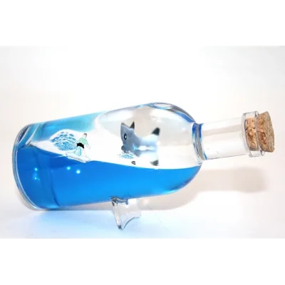 BUĞZ Şişe İçinde Batmayan Gemi Alk3204