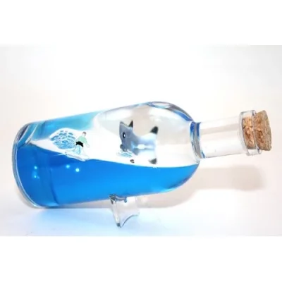  Şişe İçinde Batmayan Gemi Model 2