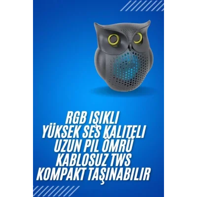  Siyah Bluetooth Hoporlör Baykuş Speaker Bluetooth 5.0 Bağlantılı