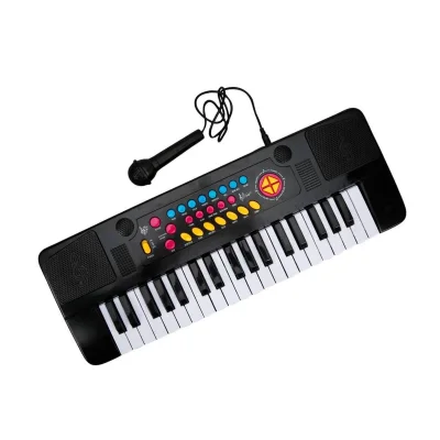 BUĞZ Sunman Mikrofonlu Elektronik Org 37 Tuşlu