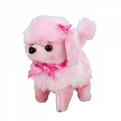 BUĞZ Sevimli Köpek Poodle