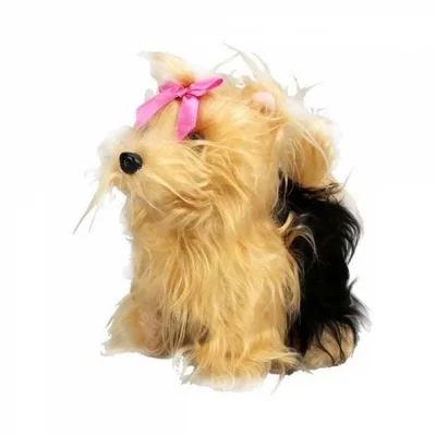  Sunman Sevimli Köpek Terrier