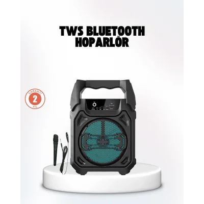 BUĞZ Taşınabilir 6.5” Bluetooth Hoparlör USB TF Kart Mikrofonlu Şarjlı Sistem