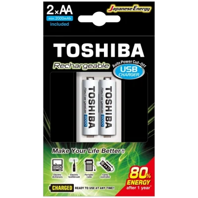 BUĞZ USB ŞARJ CİHAZI+2 AD.2000MAH KALEM PİL