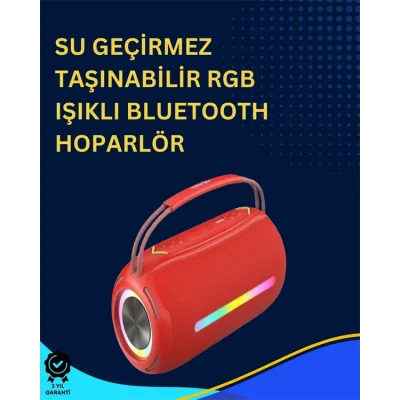 BUĞZ USB/SD/AUX Girişli Hoparlör – 10 W × 2 Çift Sürücü