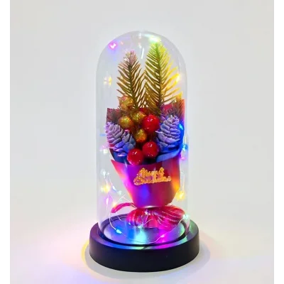 BUĞZ Yılbaşı Temalı Işıklı  Dekoratif Cam Fanus Alk5081