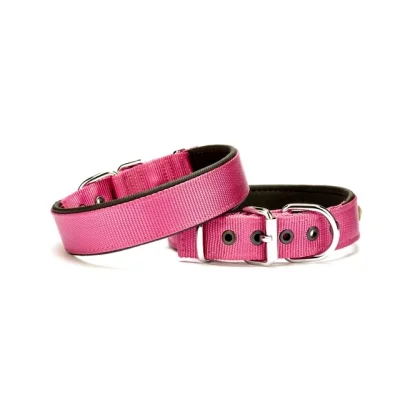 Doggie Köpek Tasması Softlu 3 cm x 65 cm Mor