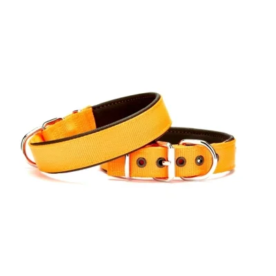 Doggie Köpek Tasması Softlu 3 cm x 65 cm Turuncu
