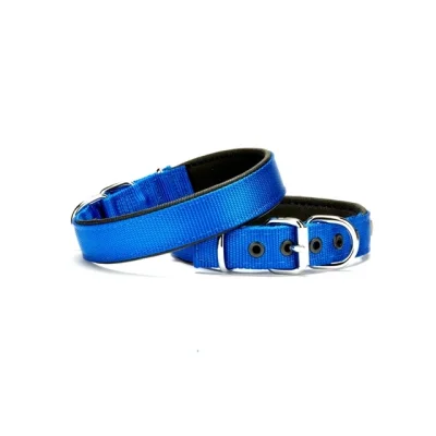 Doggie Softlu Dokuma Köpek Tasması 2,5 cm x 50 cm Mavi