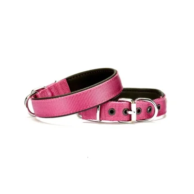 Doggie Softlu Dokuma Köpek Tasması 2,5 cm x 50 cm Mor