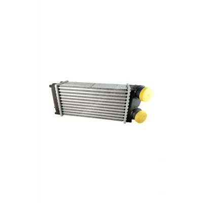Genel Ürün Turbo Radyatörü Intercooler C4-c4 Pıcasso-p307-p307 Sw Al/pl/brz 300x147x85 -ıpe504088