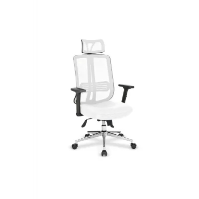 Genel Ürün Dora File Müdür Koltuğu Multi Tilt Mekanizmalı Krom Yıldız Ayaklı