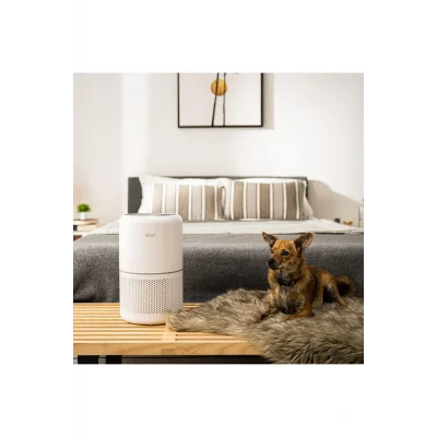 Genel Ürün Core 300 Hava Temizleme Cihazı 187 m³/h, Polen Alerjilerini Giderir