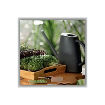 Genel Ürün Çiçek Sulama Kabı Antrasit Renk 1,7 Lt Sulak Dekoratif Ürün