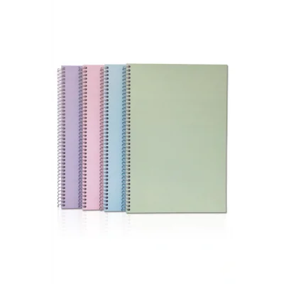 Genel Ürün Bayındır & Spiralli Sert Kapak Pastel Okul Defteri 13x21 100 Yaprak Çizgili 1 Adet