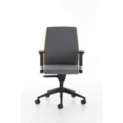 Genel Ürün Havana Çalışma Koltuğu, Orta Sırt, Plastik Ayak, Antrasit & Sarı