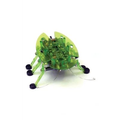 Genel Ürün Böcek - Yeşil