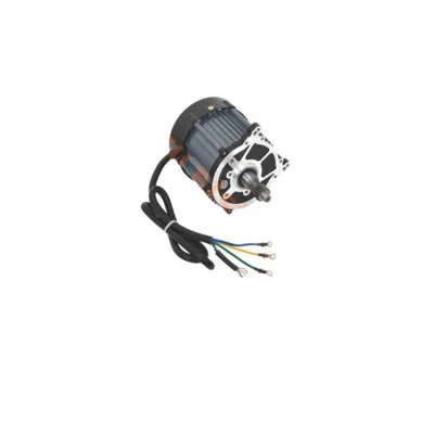 Genel Ürün Elektrikli Üç Tekerli Dc Motor 72-1200 W