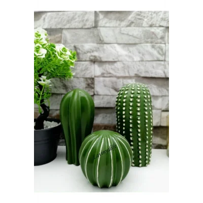 Biblo Dekoratif 3 lü Kaktüs Biblo