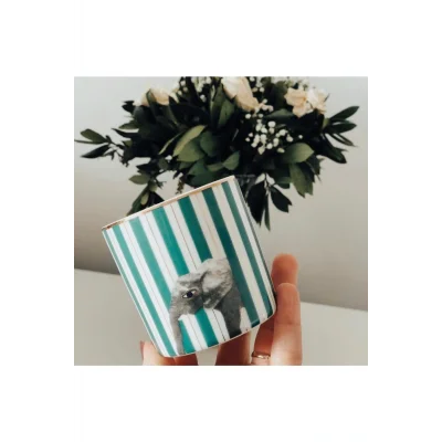 Genel Ürün Wild Life Elephant Bardak 230 Cc (1 Adet)