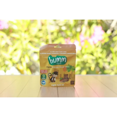 BUĞZ Humm Organik Glutensiz Vegan Muzlu Kek