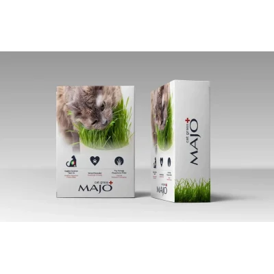 Majo Üç Kullanımlık Naturel Kedi Çimi Yedek Tohumlu