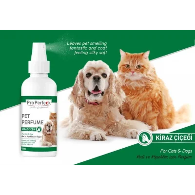 Pro Perfeck Kedi Ve Köpek Kiraz Çiçeği Parfüm 100 ml