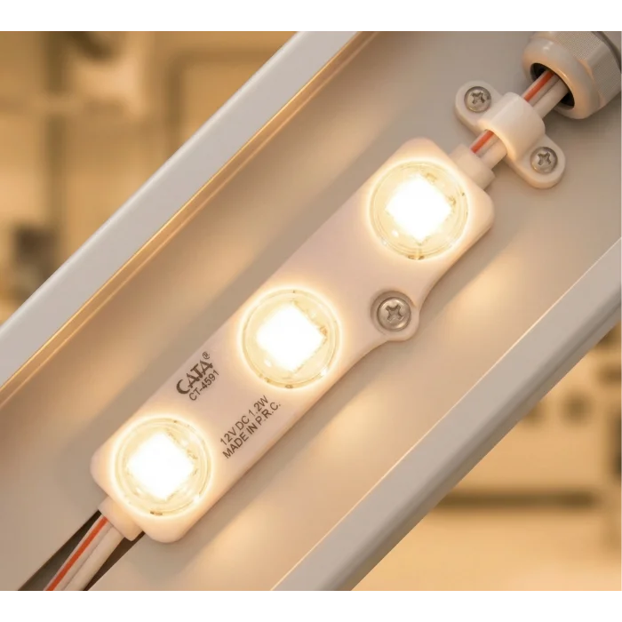 BUĞZ 10 Adet CATA CT 4591 1W Modül Led 3200K Gün Işığı