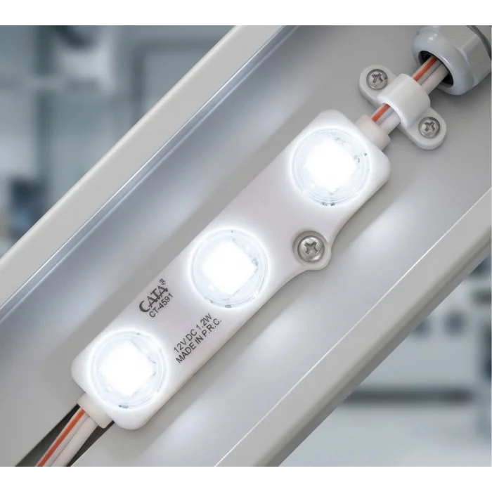 BUĞZ 10 Adet CATA CT 4591 1W Modül Led 6400K Beyaz Işık