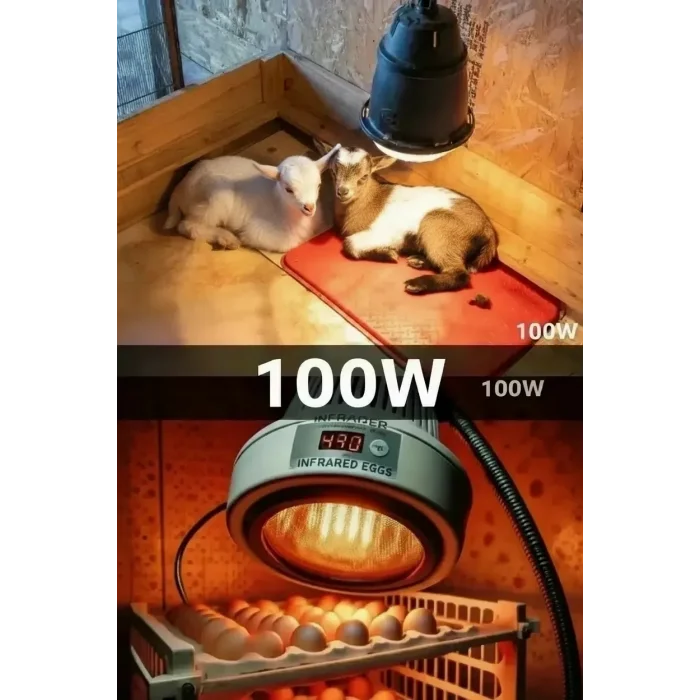BUĞZ 100W Kızılötesi (infrared) Isıtıcılı Hayvan Isıtma ve Kuluçka Lambası (Kırmızı Işık) E27 (Kalın Duy) ( BUĞZ )