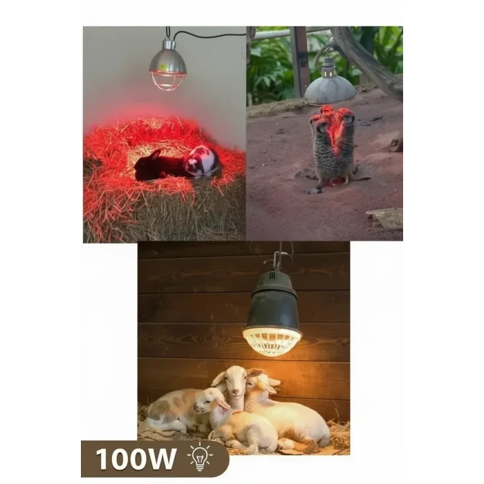 BUĞZ 100W Kızılötesi (infrared) Isıtıcılı Hayvan Isıtma ve Kuluçka Lambası (Kırmızı Işık) E27 (Kalın Duy) ( BUĞZ )