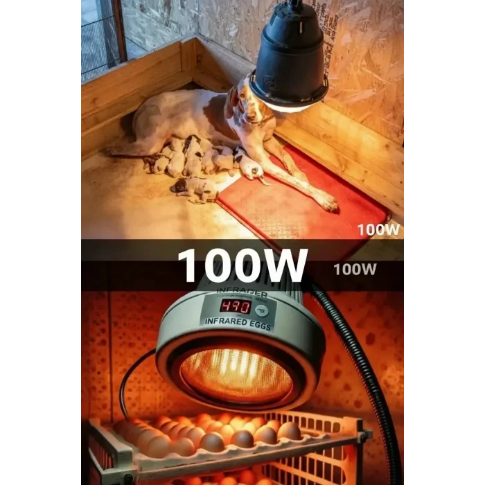 BUĞZ 100W Kızılötesi (infrared) Isıtıcılı Hayvan Isıtma ve Kuluçka Lambası (Kırmızı Işık) E27 (Kalın Duy) ( BUĞZ )